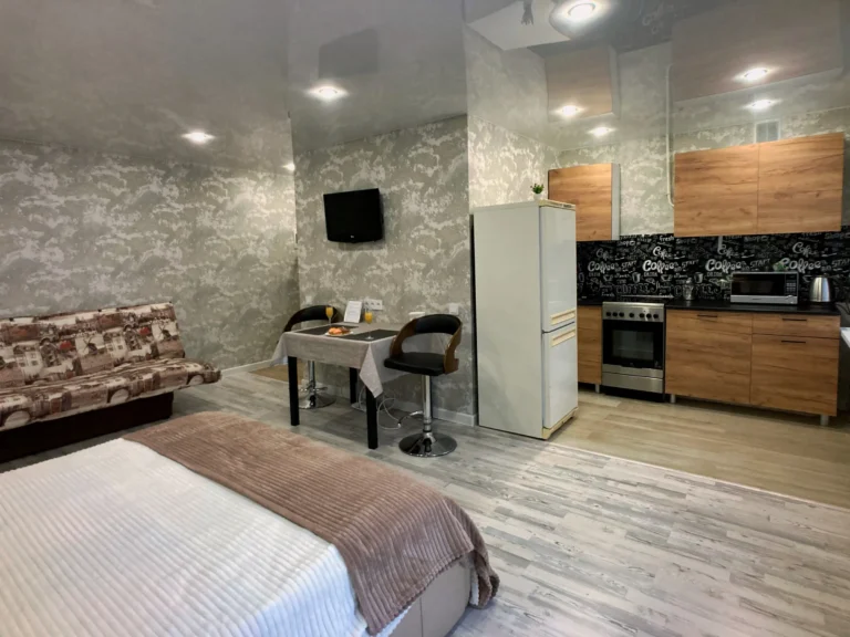 квартира студия Петропавловская 97 008