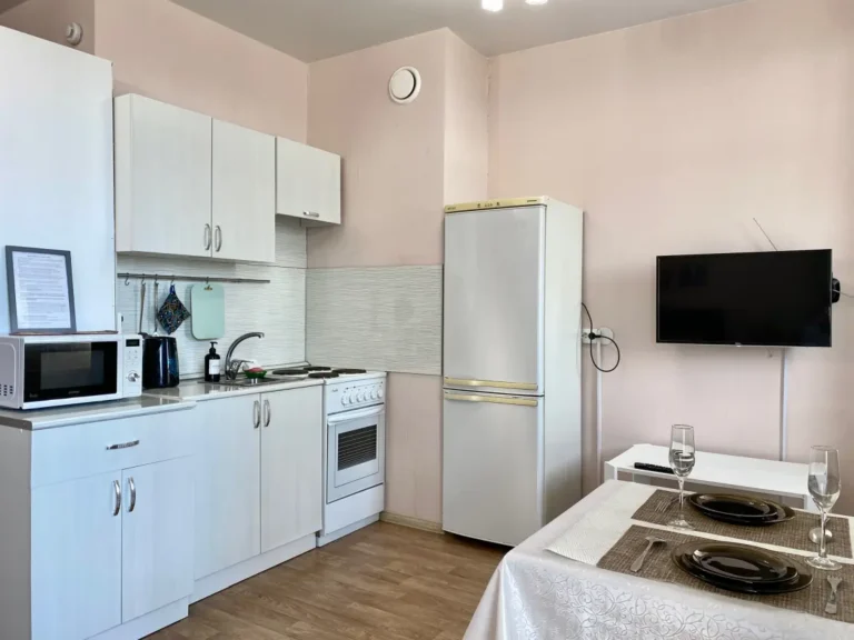 Квартира студия ул Решетникова 24 002