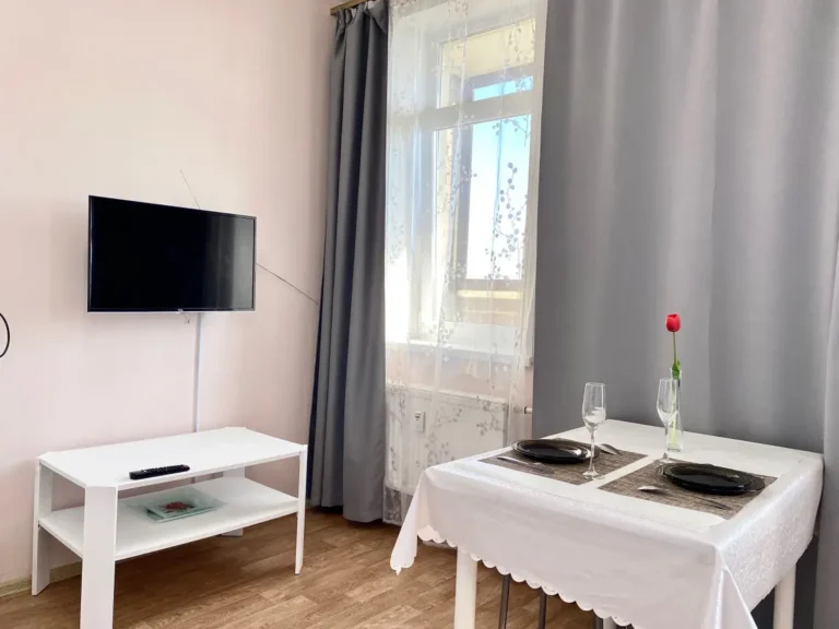 Квартира студия ул Решетникова 24 005